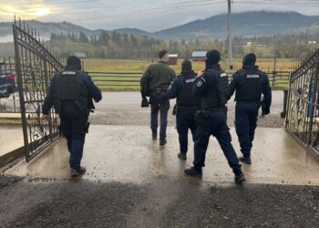 Patru percheziții la Poiana Negrii, într-un dosar de transport ilegal de lemn și posibile falsificări de date în sistemul informatic forestier. Un camion Volvo de 40.000 de euro a fost indisponibilizat