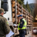Tehnician silvic, condamnat după ce a transportat aproape 14 metri cubi de lemn fără aviz SUMAL. Camionul folosit la transport aparținea firmei administrate de tatăl său