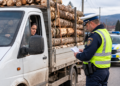 Femeie din Vicovu de Jos, prinsă transportând aproape trei metri cubi de lemne fără acte. Polițiștii au confiscat întreaga încărcătură