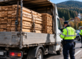 Transport de cherestea fără aviz, oprit de polițiști la Sadova. Șoferul a pierdut marfa și a primit o amendă de 6.000 de lei