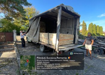 Transport ilegal de cherestea, depistat la Pătrăuți. Un bărbat s-a ales cu dosar penal și a rămas fără peste 5,5 metri cubi de lemn și fără autoutilitara de 10.000 de euro