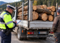 Autoutilitară cu lemne fără acte, depistată la Sadova. Aproape 5 metri cubi confiscați, amendă de 6.000 de lei și permis suspendat